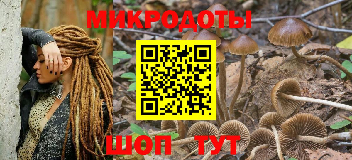 Видное  Псилоцибиновые грибы GOLDEN TEACHER  Вход с VPN 