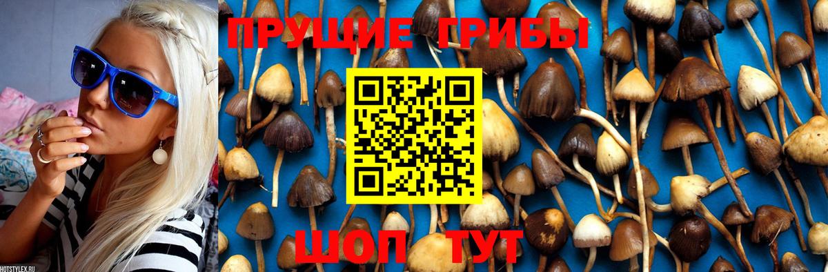Псилоцибиновые грибы Magic Shrooms Видное
