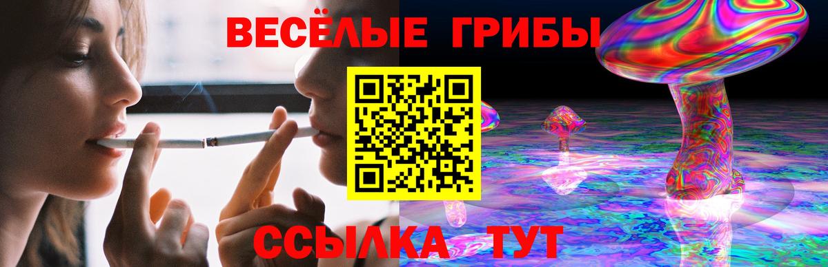 Псилоцибиновые грибы Magic Shrooms  Видное  Галлюциногенные грибы Cubensis 